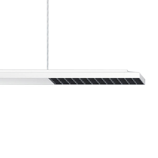 ERCO Jilly P DALI up/down oval wide valk/musta 830