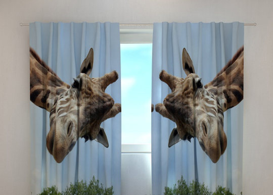 Puolipimentävä verho GIRAFF 240x220 cm