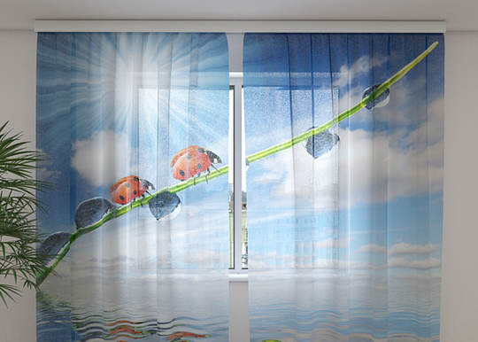 Sifonki-kuvaverho LADYBIRDS 240x220 cm