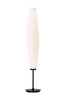 Lattiavalaisin Zenta
