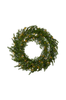 Kranssi Thuja 60 cm