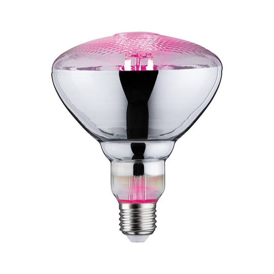 Paulmann -LED-kasvilamppu E27 Grow Green 6,5W