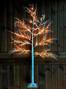 Koristepuu Tundra 150 cm