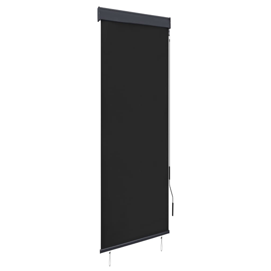 vidaXL Ulkorullaverho 60x250 cm antrasiitti
