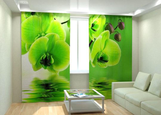Kuvaverhot GREEN ORCHID ON THE WATER 300x260 cm
