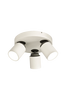 Kattovalaisin Rollo