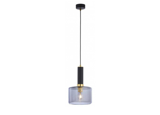 Riippuvalaisin Vanes MS/DY