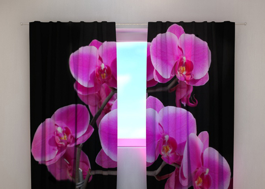 Pimentävä verho ORCHID TWIG 240x220 cm