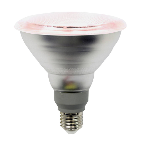LED-kasvilamppu E27 PAR38 12W 50°:n valaisukulma