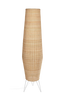 Lattiavalaisin Kamaria