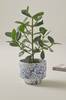 BELLADONNA ruukku, ø 21,5 cm