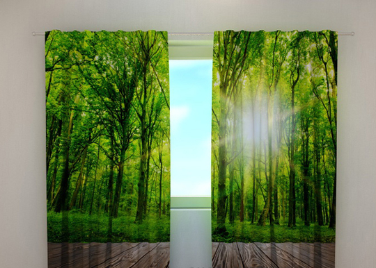 Pimennysverho FOREST AT THE DOORSTEP 240x220 cm