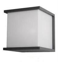 Cube (antrasiitti)