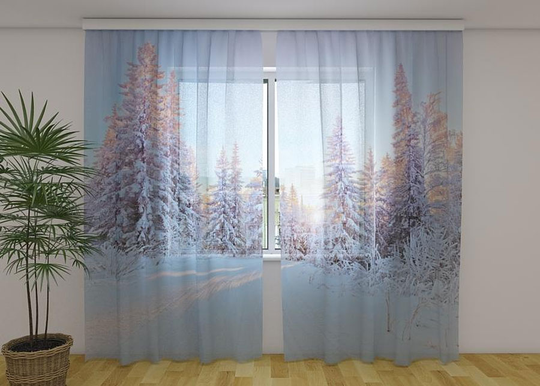 Läpinäkyvä verho Winter Tale 240x220 cm