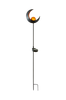 Aurinkokennokoriste Melilla