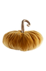 PUMPIS koriste - iso