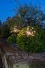 Aurinkokennokoriste Firework We2162408-900